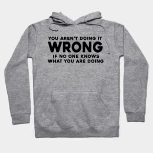 You Aren't Doing it Wrong if No One Knows What You're Doing Hoodie